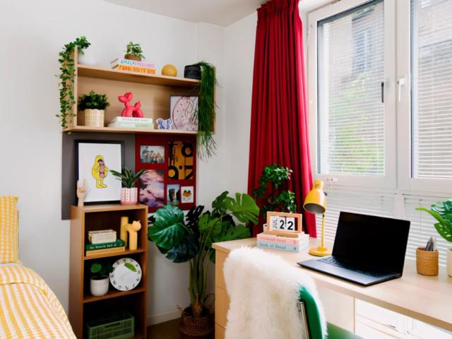Large Studio