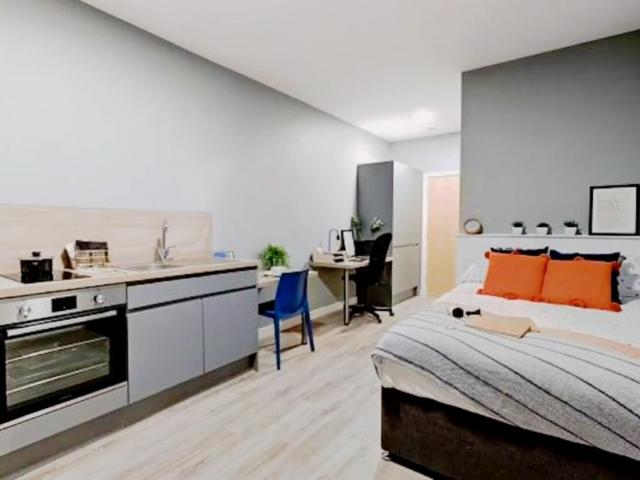 Large Studio