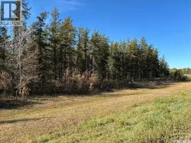 Lariviere Land 152.9 Acres, Meadow Lake Rm No.588, SK, S9X 1.