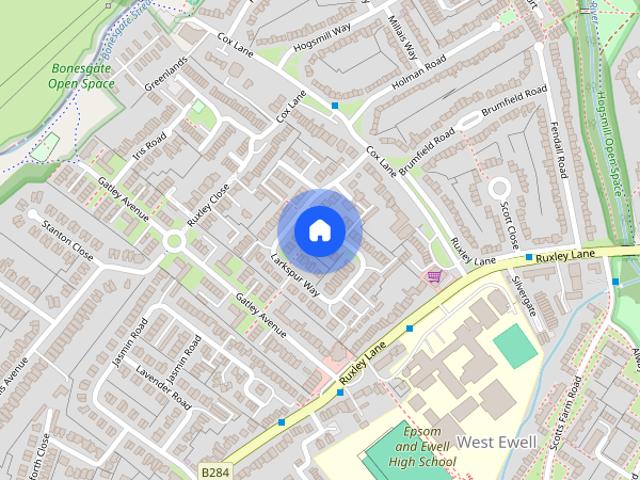 Larkspur Way, West Ewell, Epsom, KT19