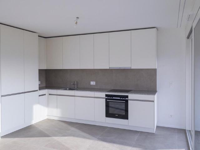 Last opportunity MINERIS Modern 4.5 room apartment