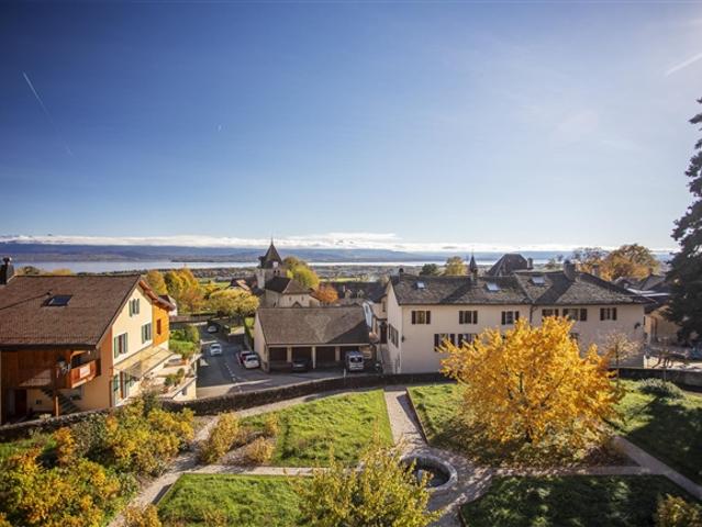 Last Lot Hervorragendes Penthouse mit Panoramablick auf den See und den Mont Blanc
