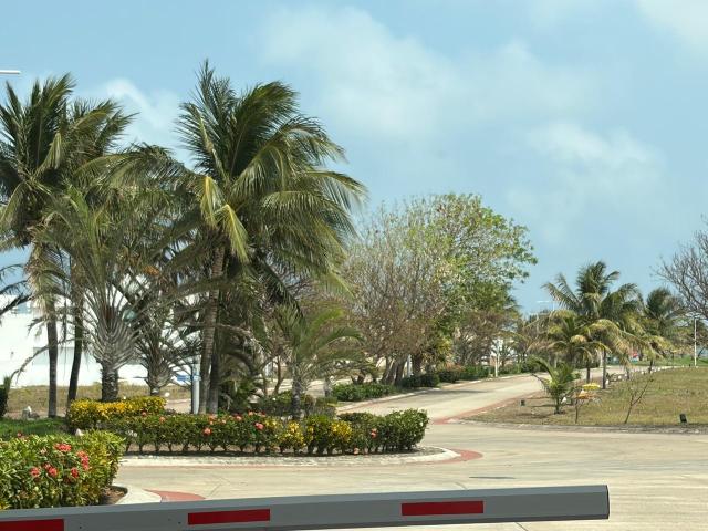 Las Olas Residencial, Terrenos en venta que pueden venderse juntos o separados