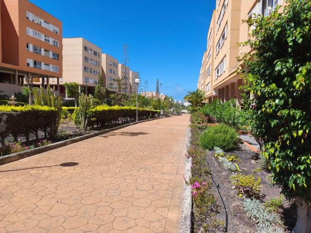 Las Palmas De Gran Canaria
