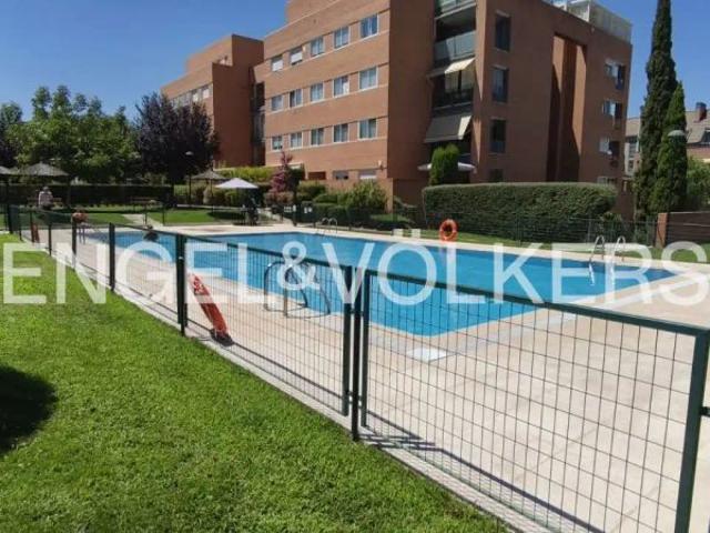 Las Rozas De Madrid