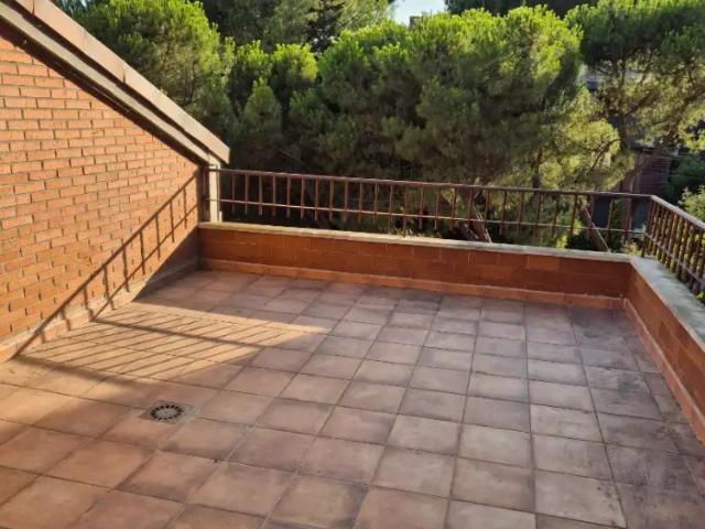 Las Rozas De Madrid