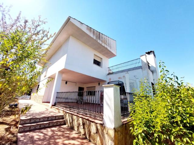 LAS VAGUADAS