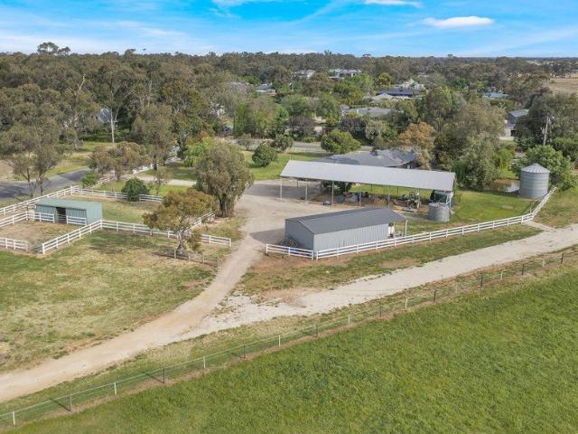 LATHAM LODGE = EQUINE EXCELLENCE !