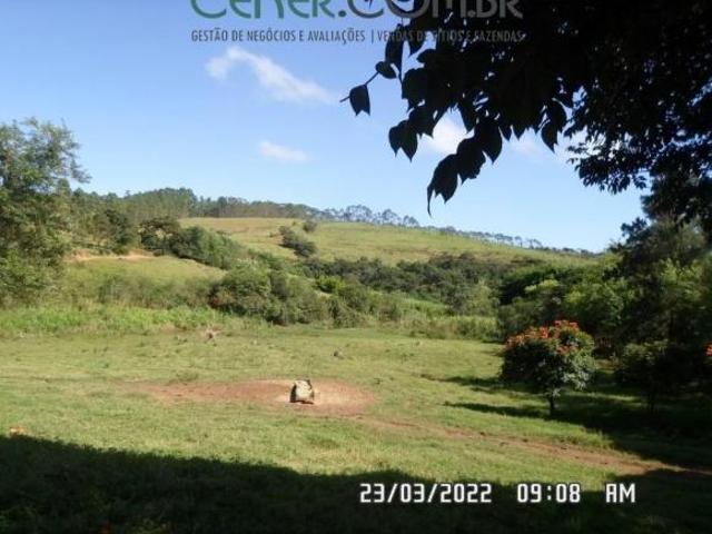 Laticínio em atividade em Fazenda de 60 ha com Ótima Produção e Ótima Logística
