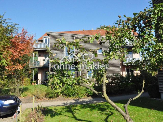 Lauenburg Stadtmitte Wohnung im Garten