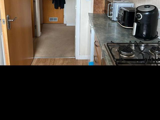Laura Fitzpatrick Has an Apartment