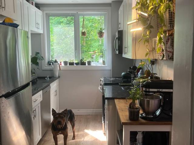 Laura Has a House