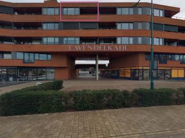 Lavendel 362