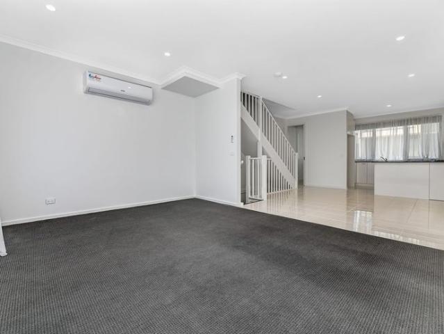 Lavish In Lofty Court