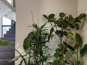 LDT CASA EN VENTA, NUEVA CON ROOF GARDEN Y SOTANO, EN TAHONA RESIDENCIAL