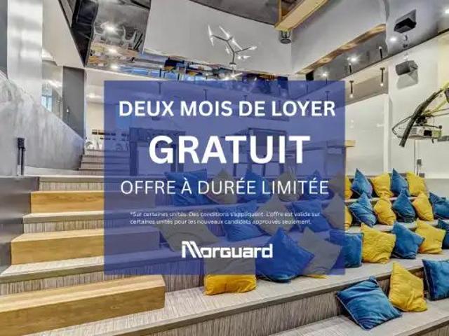 Le 1444 Mackay | 1444 rue Mackay, Montreal · studio