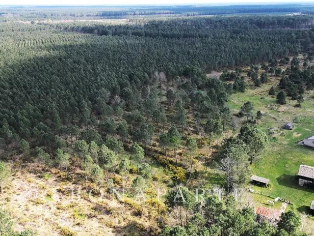 Le Temple Propriete De 18 Hectares A 10 Minutes Des Plages. 135m² Le Temple