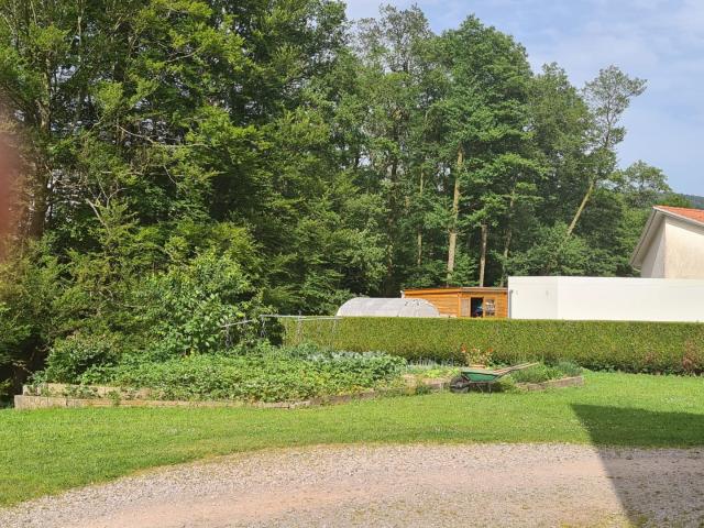 LE THILLOT 88 A VENDRE MAISON INDIVIDUELLE DE 316 m2