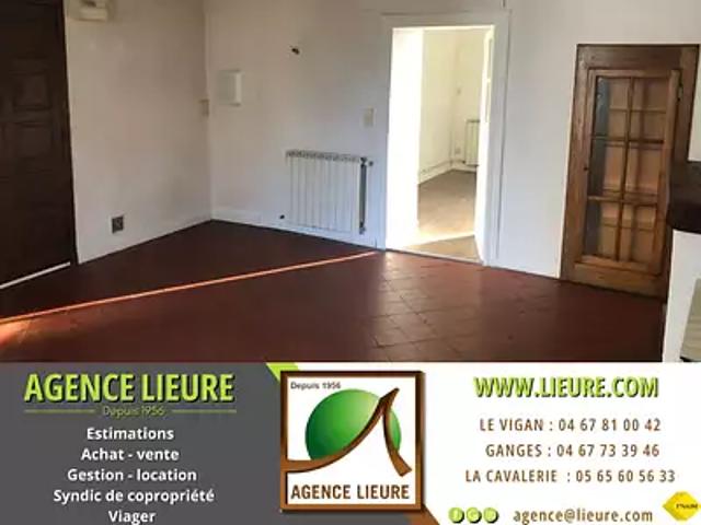 Le Vigan 30120 Achat / Vente appartement 3 pièces t3