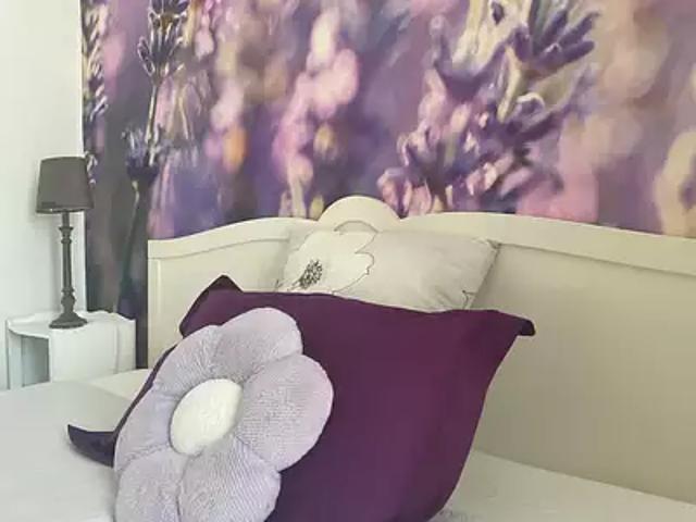 Le Buisson de Cadouin 24480 Achat / Vente maison 9 pièces t9 parking