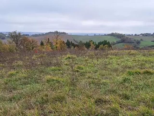 Le Castéra 31530 Programme neuf maison neuf à vendre 5 pièces