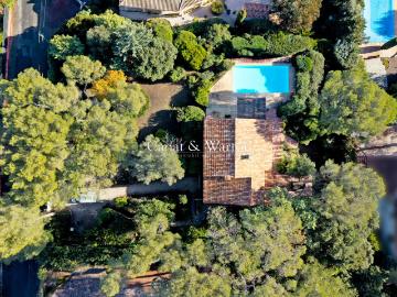 Centre de Saint-Raphaël - Jardin, Cave