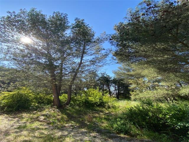 Le Cres Appartement de standing type 4 pièces 118m² Le Crès