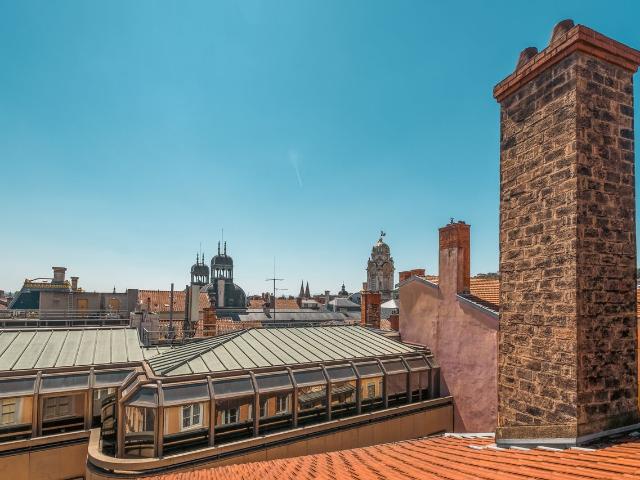 Le Désirée Bright and flowing, Lyon Amsterdam Apartments for Rent