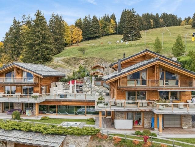 9 Room chalet