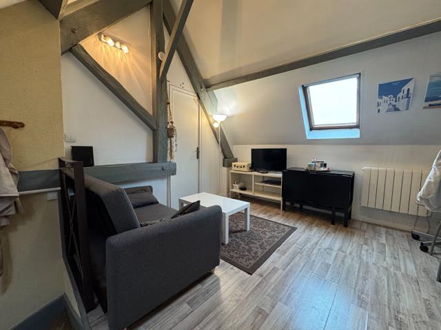 LE MERVEILLEUX Location Appartement tours: 23.02 m2 25229698