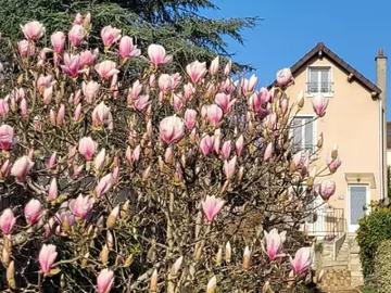 Le Mesnil le Roi 78600 Achat / Vente maison 6 pièces t6 parking