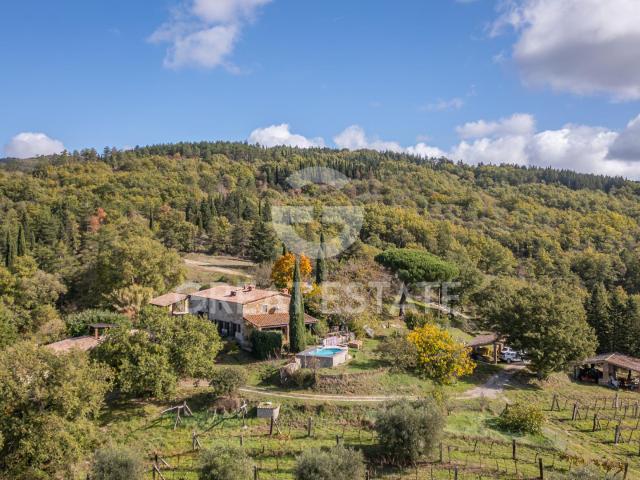 Le Mura del Grechetto 451m² Montegabbione