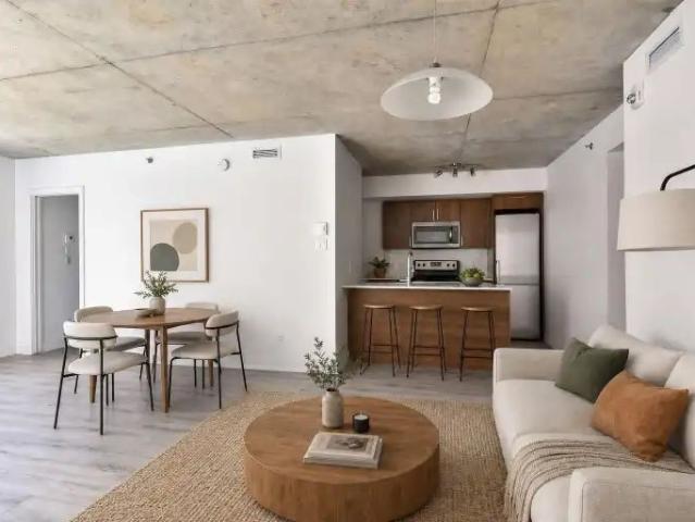 Le Neuf Cents Apartments for rent | 1325 rue St Andre, Montreal