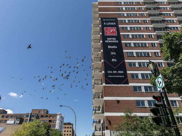 Le Plateau 3605 St Urbain Studio 3605 Rue Saint Urbain, Montréal