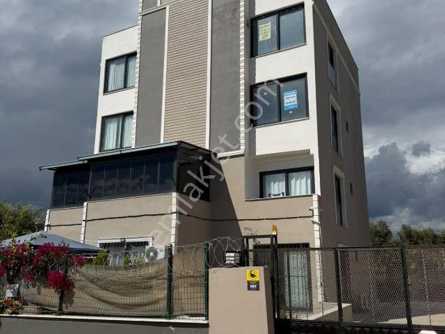 Lemas Emlak: Davultepe 1+1 Kiralık Sıfır Daire