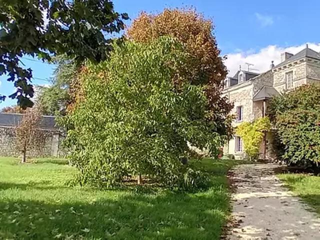 Lémeré 37120 Achat / Vente maison 5 pièces t5