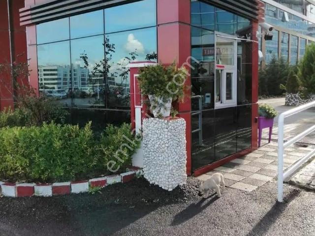 Lens İstanbul'a Komşu Ekincide Balkonlu Eşyalı Kiralık 1+1