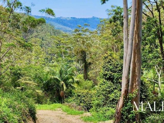 Leave the World Behind: A Pristine Retreat in the Maleny Hinterland