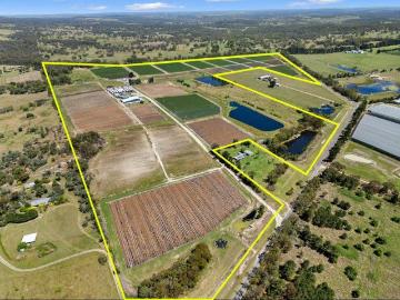 Leading Granite Belt Strawberry/Vegetable farm