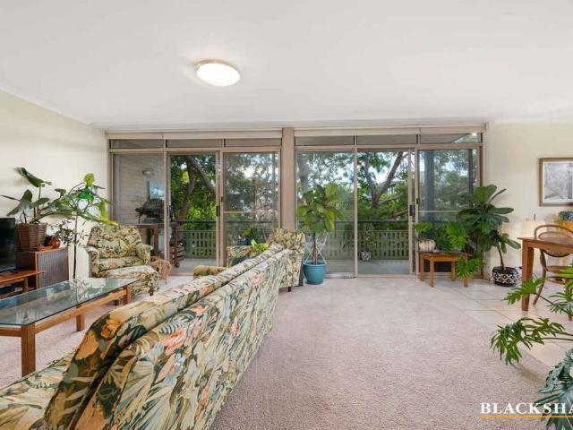Leafy apartment in amazing location