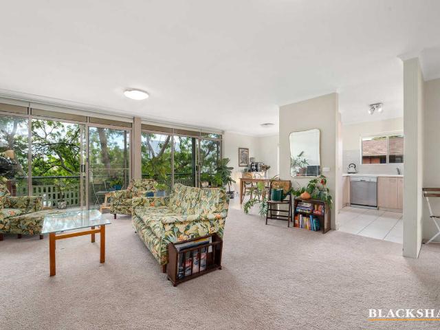 Leafy apartment in amazing location