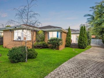 Leafy Charm in Idyllic Family Pocket
