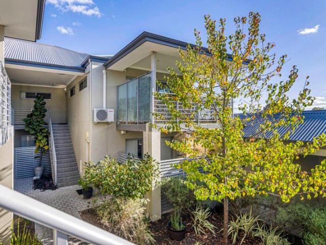 LEAFY, LIGHT AND LOW MAINTENANCE