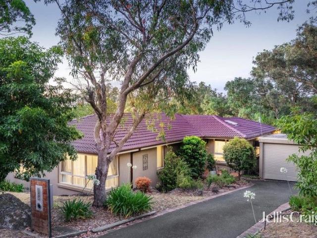 Leafy light filled family lifestyle with ample room to grow