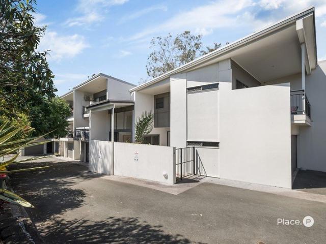 Leafy, Light Filled Living in the Heart of Morningside