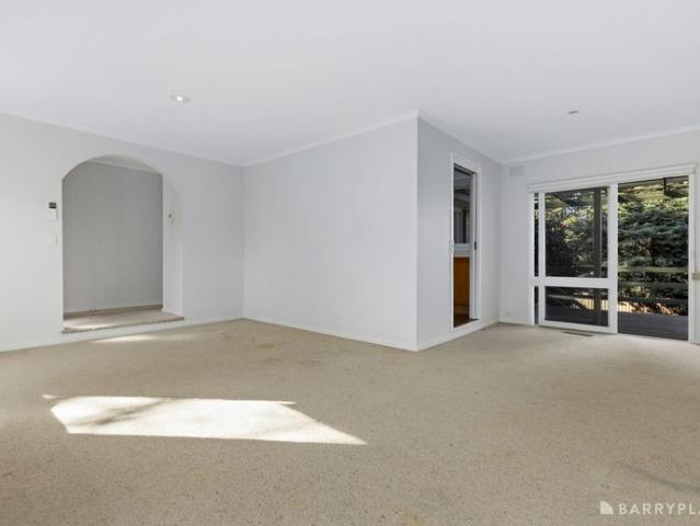 Leafy Surrounds, Spacious Living and a Superb Location