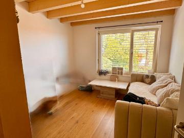 Lease renewal – Duplex of 3.5 rooms with view on the lake