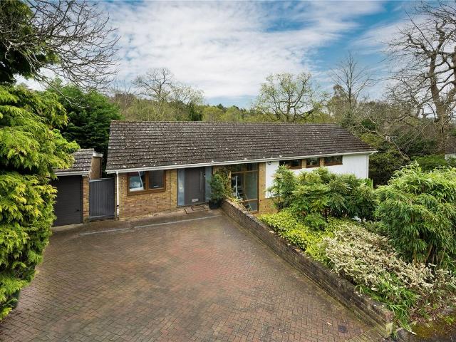 Lebanon Drive, Cobham, Surrey KT11, 4 bed detached house to rent, £4,500 pcm | PrimeLocation