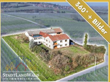 Leben über dem Rebenmeer Ehemaliges Weingut in Alleinlage und Blick in die Rheinebene