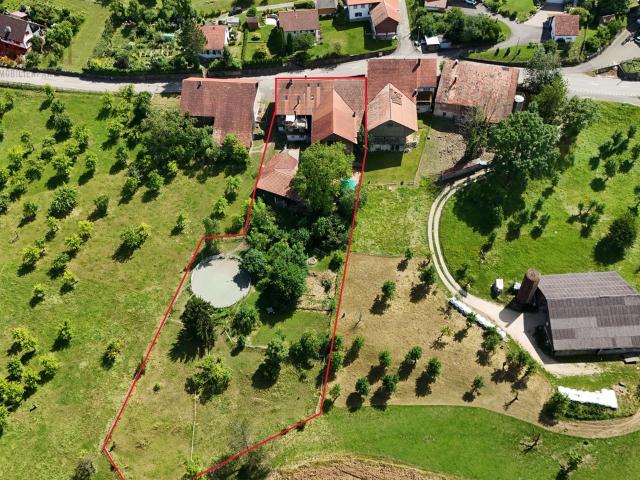 Leben, wo andere träumen – 5.5 Zi. Wohnung mit Pferdestall & Weide